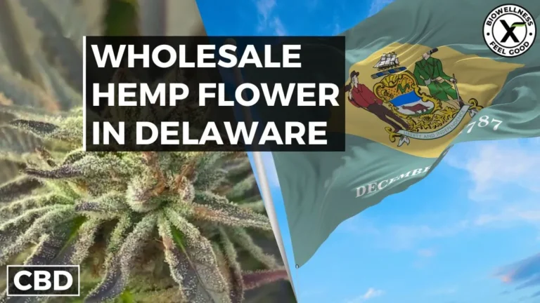 Where to Buy Premium Hemp Flower Wholesale in Delaware