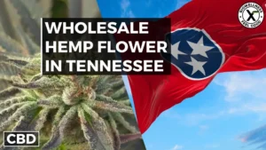 Where to Buy Wholesale Hemp Flower in Tennessee