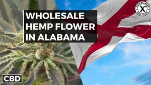 Wholesale Hemp Flower in Alabama