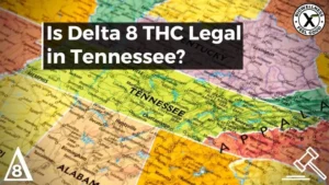 is Delta-8 legal in Tennessee-BiowellnessX