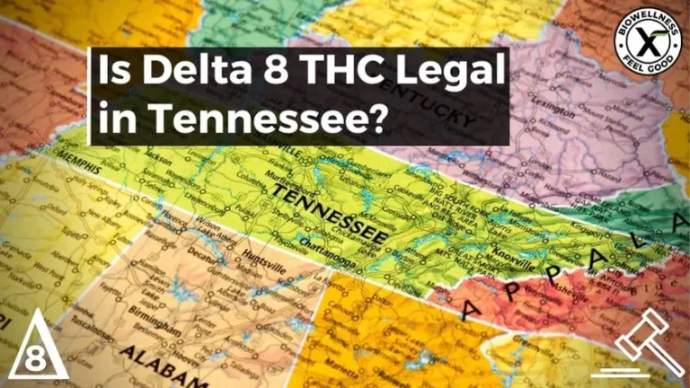 is Delta-8 legal in Tennessee-BiowellnessX