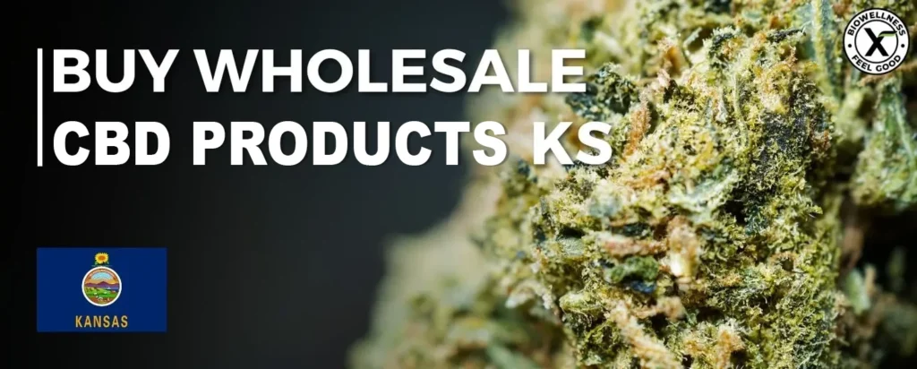 Buy Wholesale CBD Products in Kansas - Bulk Pricing