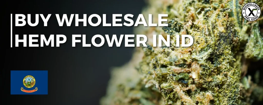 Buy Wholesale Hemp Flower in Idaho - BiowellnessX