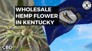 Buy Wholesale Hemp Flower in Kentucky