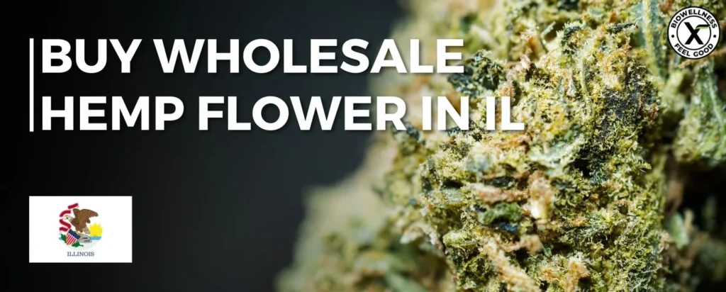 Buy Wholesale hemp flower in Illinois - BiowellnessX