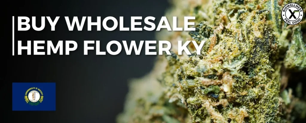 Explore Wholesale CBD Products in Kentucky