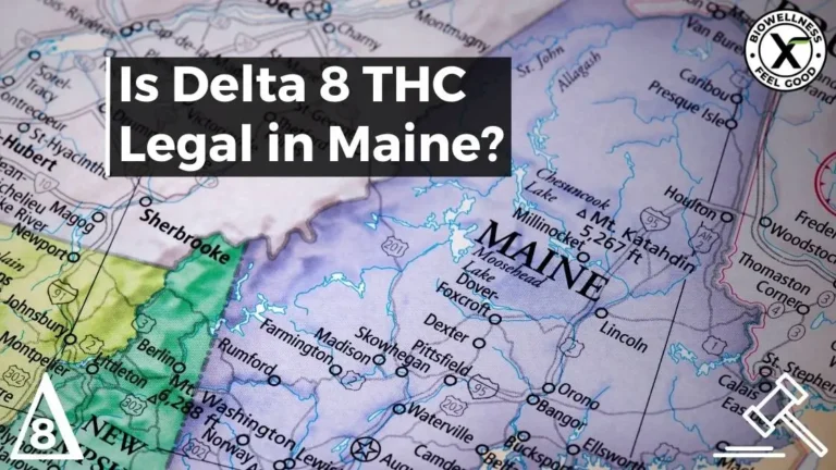 Is Delta-8 Legal in Maine - BiowellnessX
