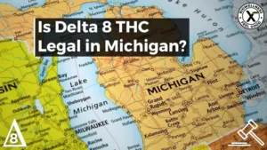 Is Delta-8 Legal in Michigan - BiowellnessX