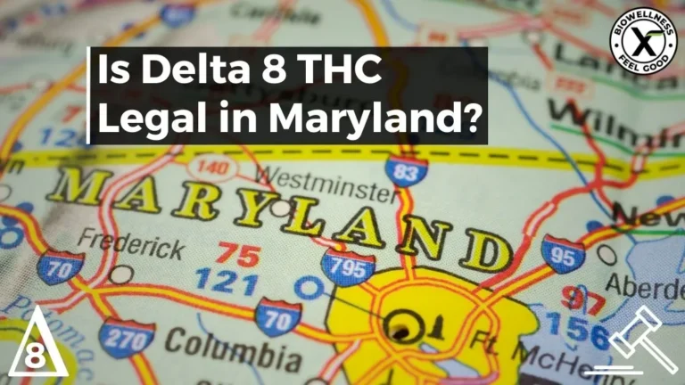 Is Delta-8 THC Legal in Maryland