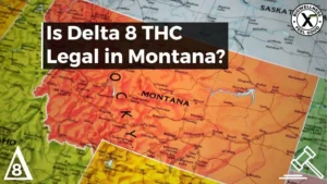 Is Delta-8 legal in Montana - BiowellnessX