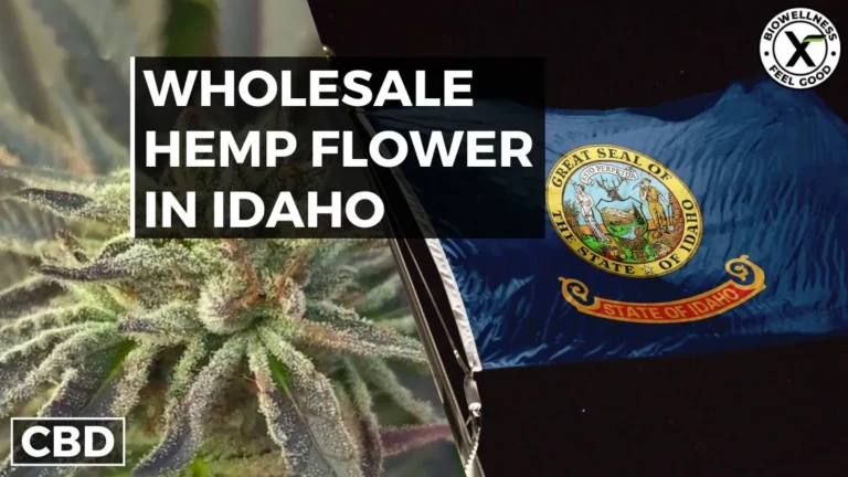 Wholesale Hemp Flower in Idaho - BiowellnessX