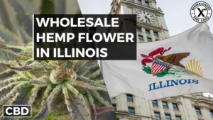 Wholesale hemp flower in Illinois - BiowellnessX