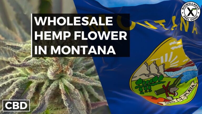 Buy Wholesale CBD Hemp Flower in Montana - Bulk Pricing
