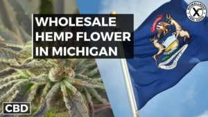 Buy Wholesale Hemp Flower in MIchigan