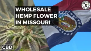 Buy Wholesale Hemp Flower in MIssouri