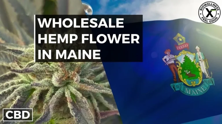 Buy Wholesale Hemp Flower in Maine