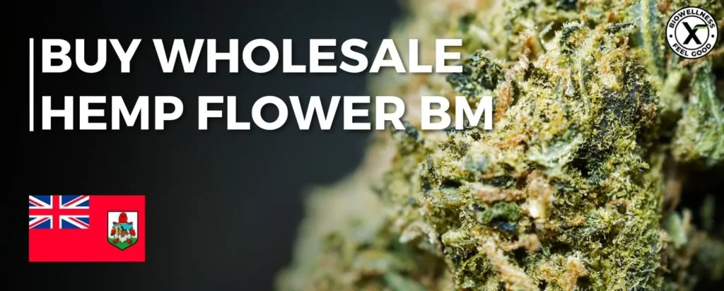 Order Bulk THCa Flower in Bermuda