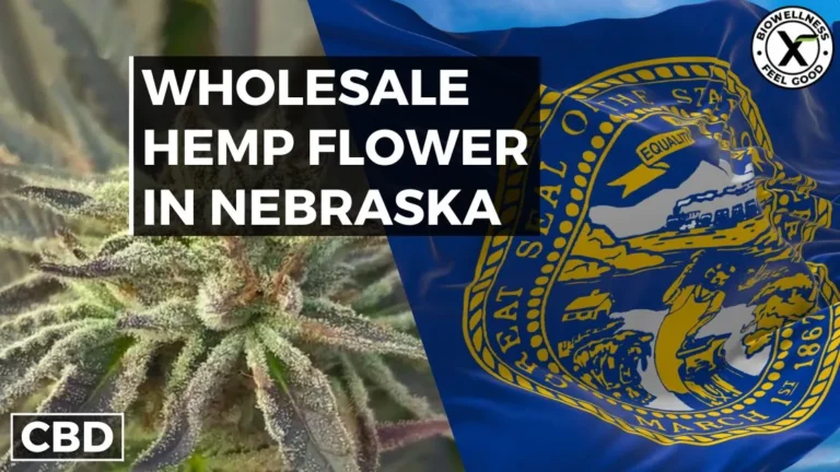 Where to Buy Wholesale Hemp Flower in Nebraska