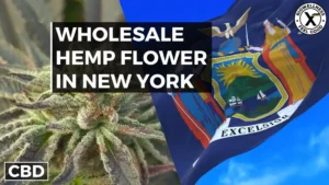 Buy Wholesale Hemp Flower in New York