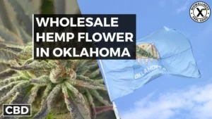 Buy Wholesale Hemp Flower in Oklahoma