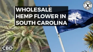 Buy Wholesale Hemp Flower in South Carolina - Premium Buds