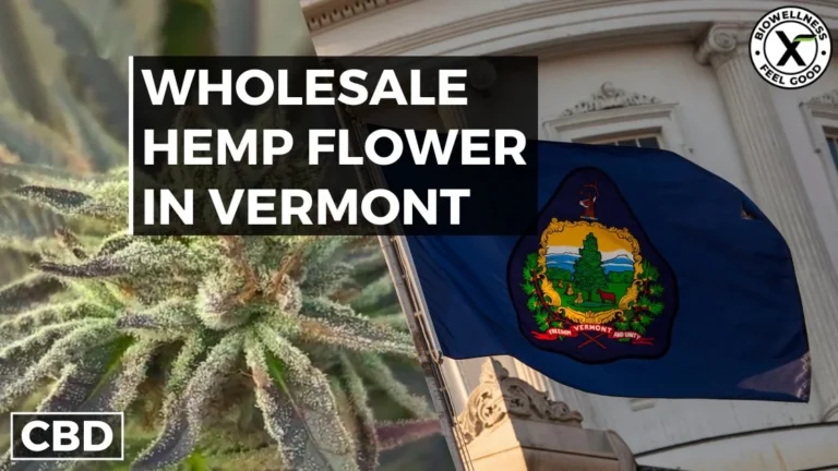 Buy Wholesale Hemp Flower in Vermont
