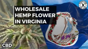 Buy Wholesale Hemp Flower in Virginia