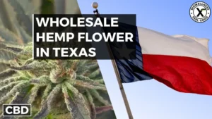 Buy Wholesale Hemp Flower in Texas - BiowellnessX