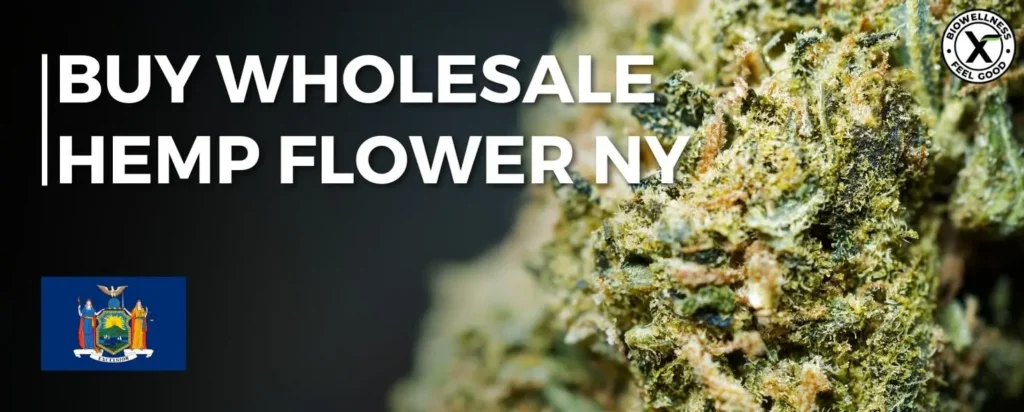 Order Bulk Hemp Flower friom BioWellnessX - New York State