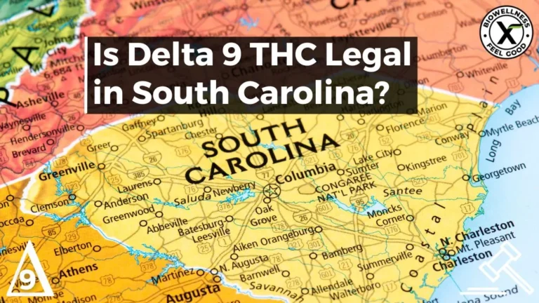 Is Delta-9 Legal in South Carolina - BiowellnessX