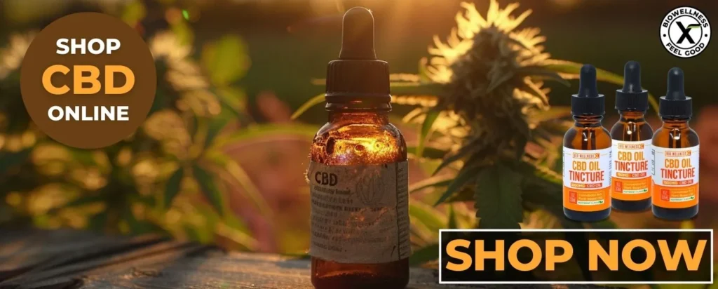 Shop Premium CBD Oil at BioWEllnessX