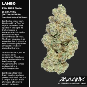 Lambo - Strain card