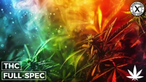What is Full Spectrum THC - BioWellnessX Guide
