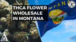 THCa Flower Wholesale In Montana