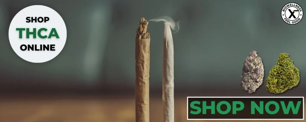 Shop for Hemp Spliff and Joint Pre Rolls at BioWellnessX