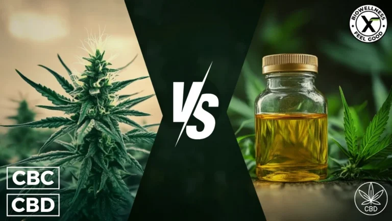 CBC-vs-CBD-Guide