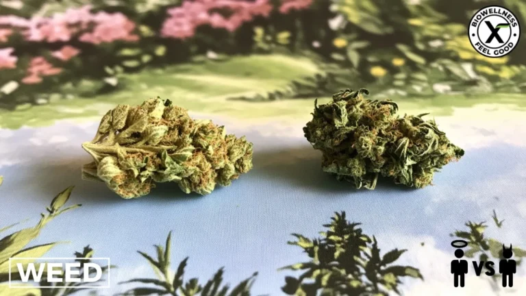 Good weed vs bad weed