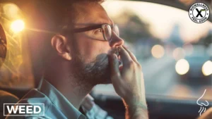 How-to-Get-Weed-Smell-Out-of-a-Car