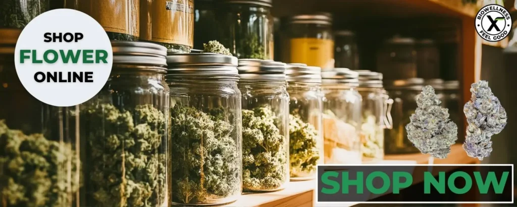 Shop legal cannabis flower online from BiowellnessX