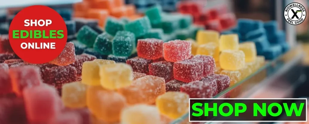 how-to-store-edibles-shop-biowellnessx