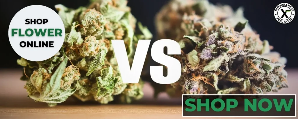 Shop CBD vs THC Flower