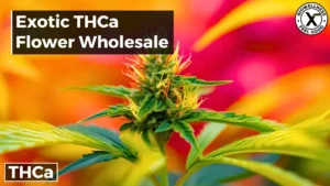 Exotic THCa Flower Wholesale Near Me