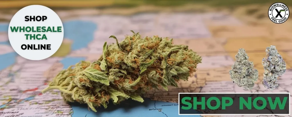 Shop THCA flower wholesale online from BiowellnessX