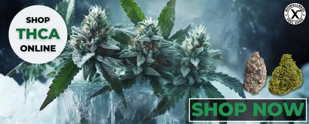 Can You Freeze Cannabis - Shop Weed BioWellnessX