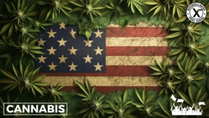 Nationwide Cannabis Revolution