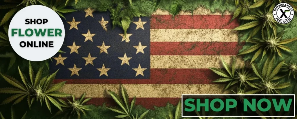 Shop Hemp-Derived Cannabis