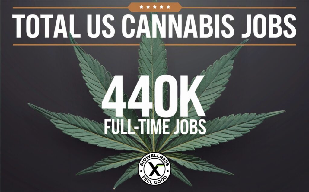 US Cannabis Job Growth