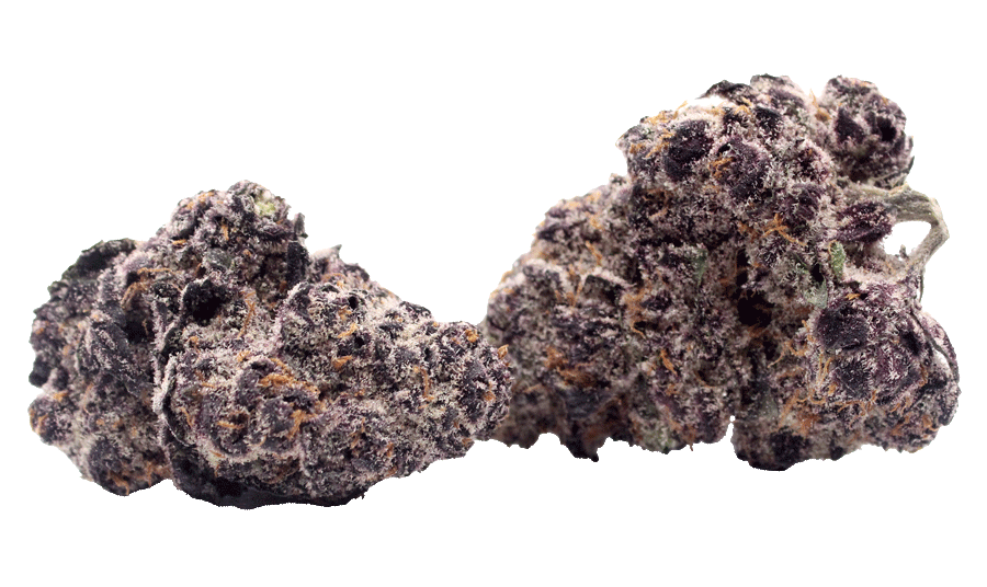 Black Runtz Wholesale THCa
