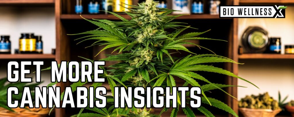 GET MORE CANNABIS INSIGHTS