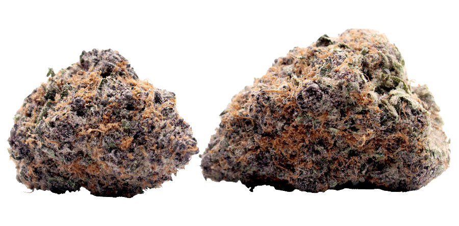 Bulk Lemon Cherry Zoap Flower